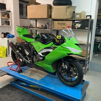 Kawasaki ZX-6R pályamotor – Avery Supreme Grass Green – 4. kép
